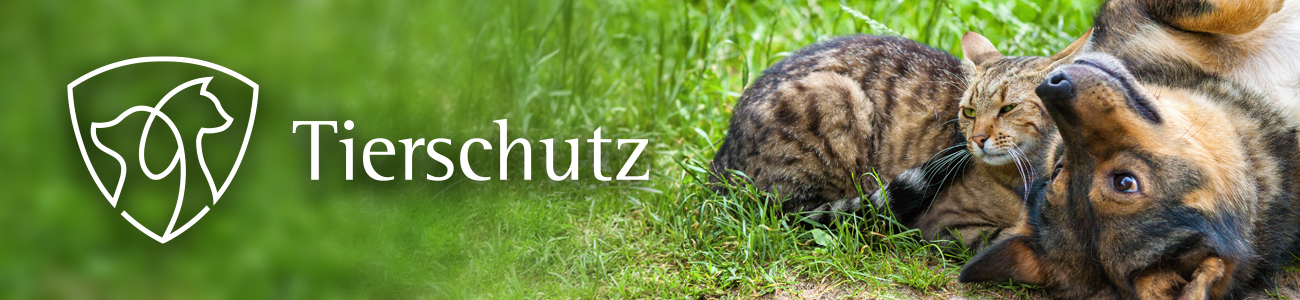 Tierschutzpreis Land Steiermark